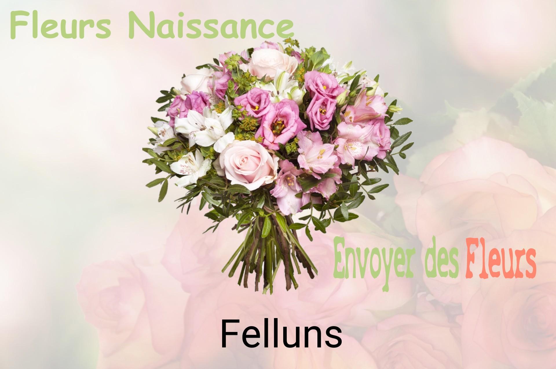 Bouquet de fleurs de naissance livré à Felluns