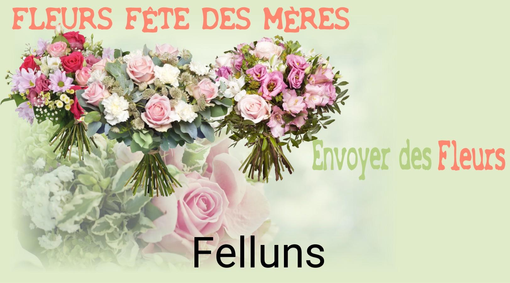 Bouquet de Fête des Mères livré à Felluns